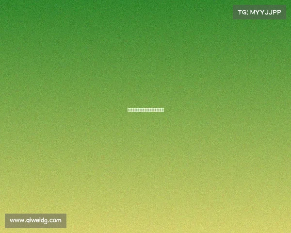 快船队击败季后赛对手，保持领先